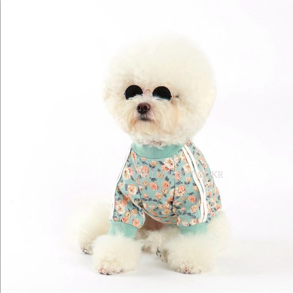 Floral dog jogger outfit
